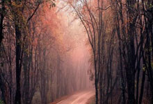 星空体育-英格兰队备战欧洲杯，球迷期待梦幻开局